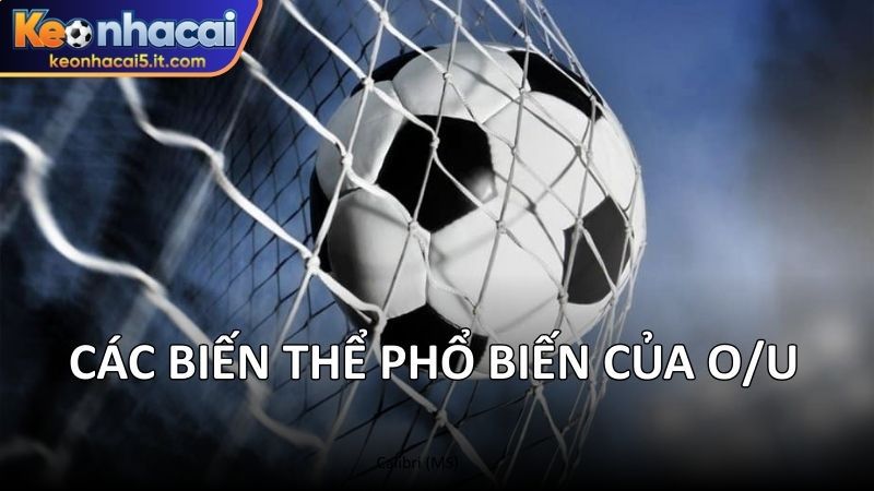 Các biến thể phổ biến của O/U 