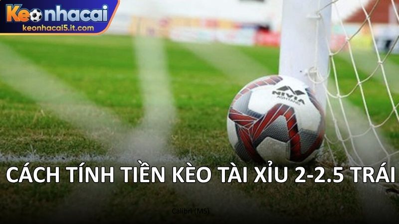 Cách tính tiền kèo tài xỉu 2-2.5 trái 