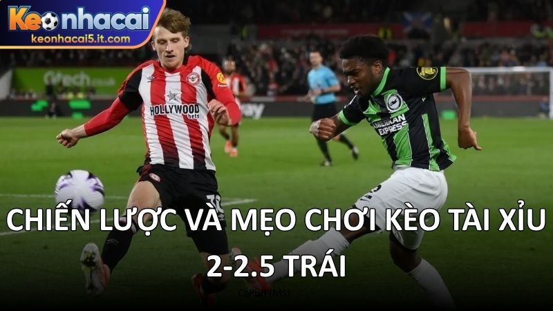 Chiến lược và mẹo chơi kèo tài xỉu 2-2.5 trái