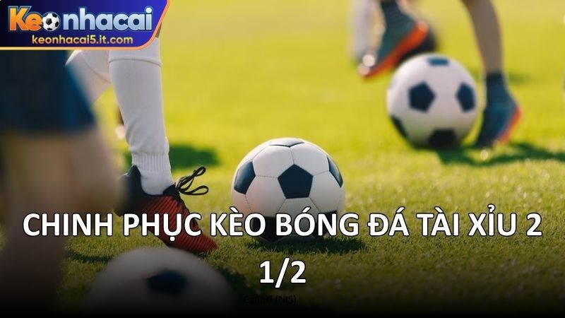 Chinh phục kèo bóng đá tài xỉu 2 1/2
