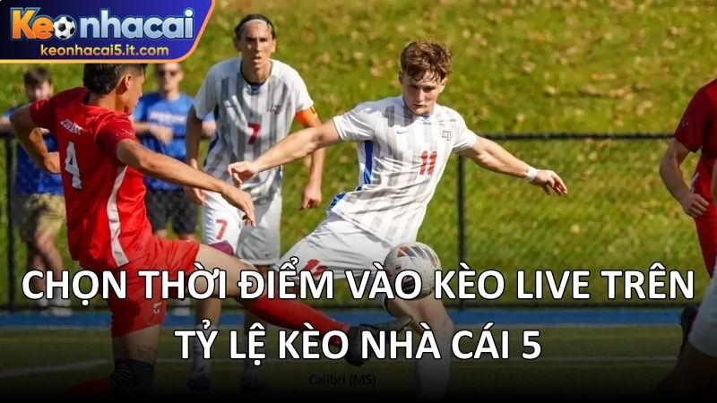 Chọn thời điểm vào kèo live trên tỷ lệ kèo nhà cái 5 