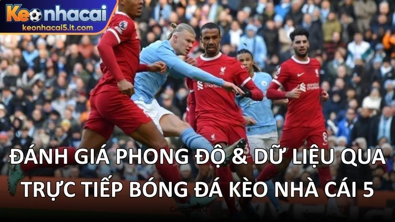 Đánh giá phong độ & dữ liệu qua trực tiếp bóng đá kèo nhà cái 5