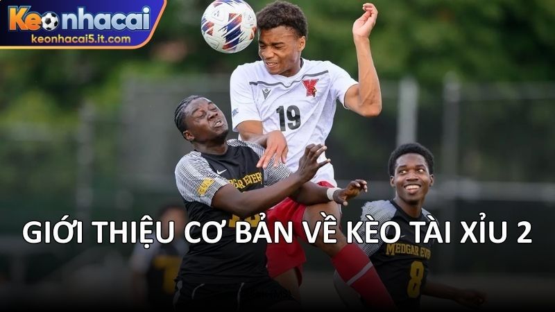 Giới thiệu cơ bản về kèo tài xỉu 2