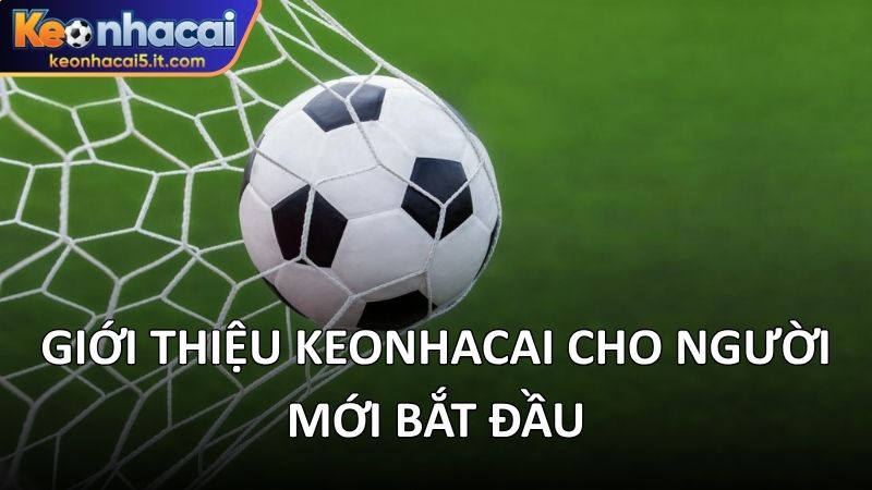 Giới thiệu Keonhacai cho người mới bắt đầu 