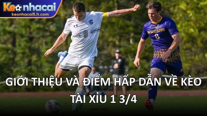 Giới thiệu và điểm hấp dẫn về kèo tài xỉu 1 3/4