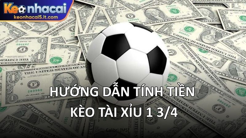 Hướng dẫn tính tiền kèo tài xỉu 1 3/4