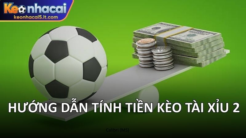 Hướng dẫn tính tiền kèo tài xỉu 2