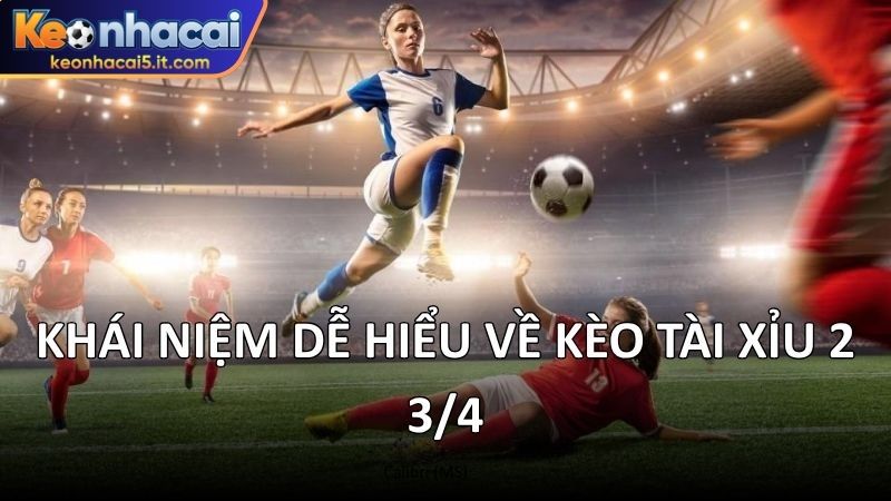 Khái niệm dễ hiểu về kèo tài xỉu 2 3/4 