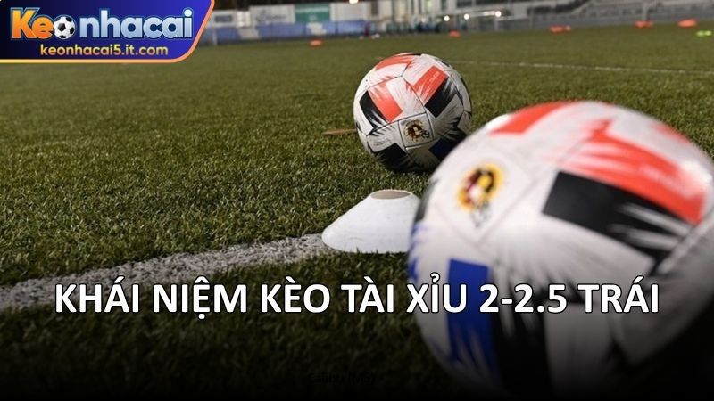 Khái niệm kèo tài xỉu 2-2.5 trái