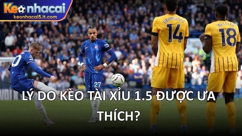 Lý do kèo tài xỉu 1.5 được ưa thích?