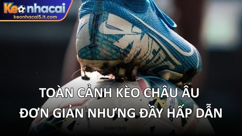 Toàn cảnh kèo Châu Âu – đơn giản nhưng đầy hấp dẫn