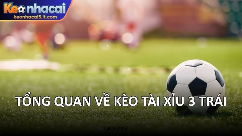 Tổng quan về kèo tài xỉu 3 trái 