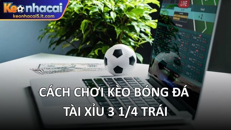 Cách chơi kèo bóng đá tài xỉu 3 1/4 trái