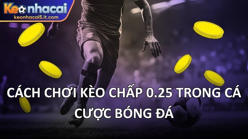 Cách chơi kèo chấp 0.25 trong cá cược bóng đá