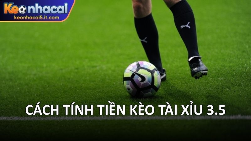 Cách tính tiền kèo tài xỉu 3.5