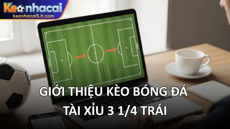 gioi-thieu-keo-bong-da-tai-xiu-3-1-4-trai
