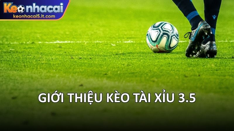 Giới thiệu kèo tài xỉu 3.5 