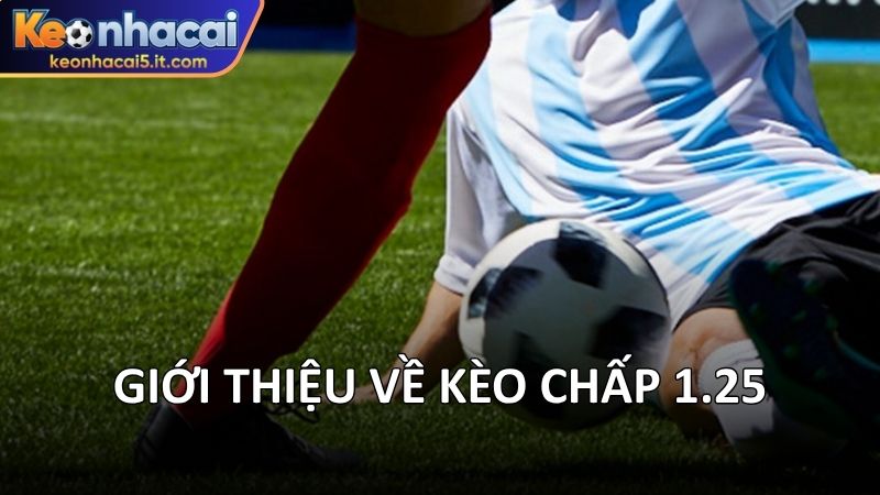 Giới thiệu về kèo chấp 1.25