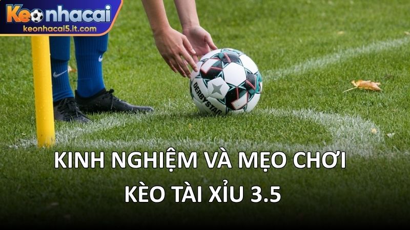 Kinh nghiệm và mẹo chơi kèo tài xỉu 3.5