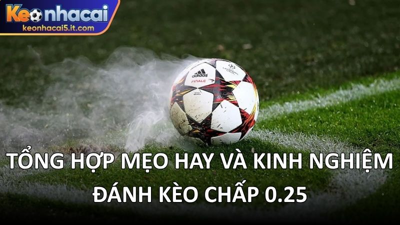 Tổng hợp mẹo hay và kinh nghiệm đánh kèo chấp 0.25